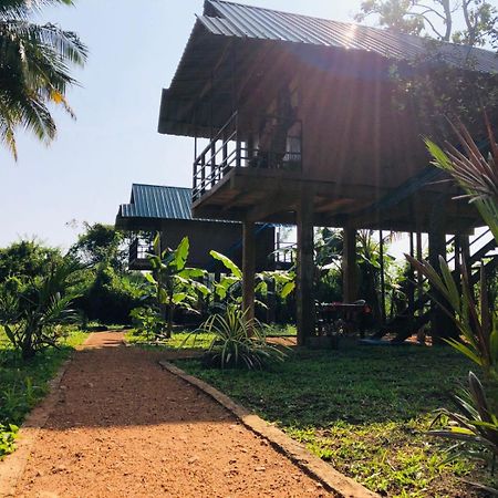 Vila Sigiriya Paddy Field Hut Pokoj fotografie