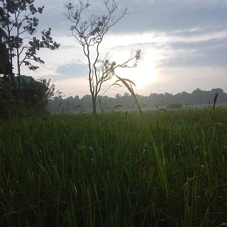 Vila Sigiriya Paddy Field Hut Pokoj fotografie