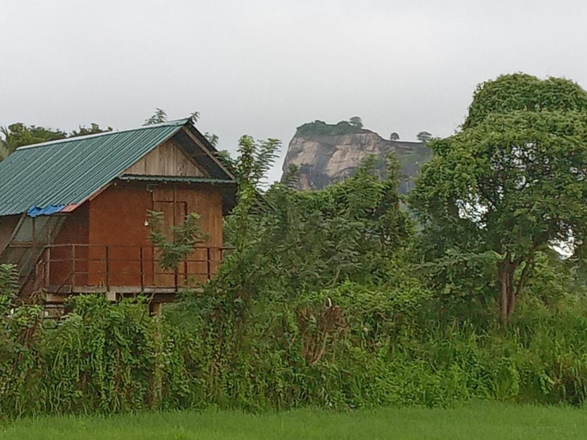 Vila Sigiriya Paddy Field Hut Exteriér fotografie