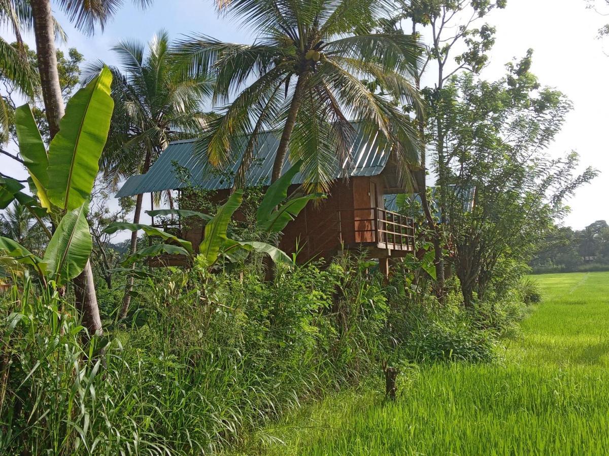Vila Sigiriya Paddy Field Hut Exteriér fotografie