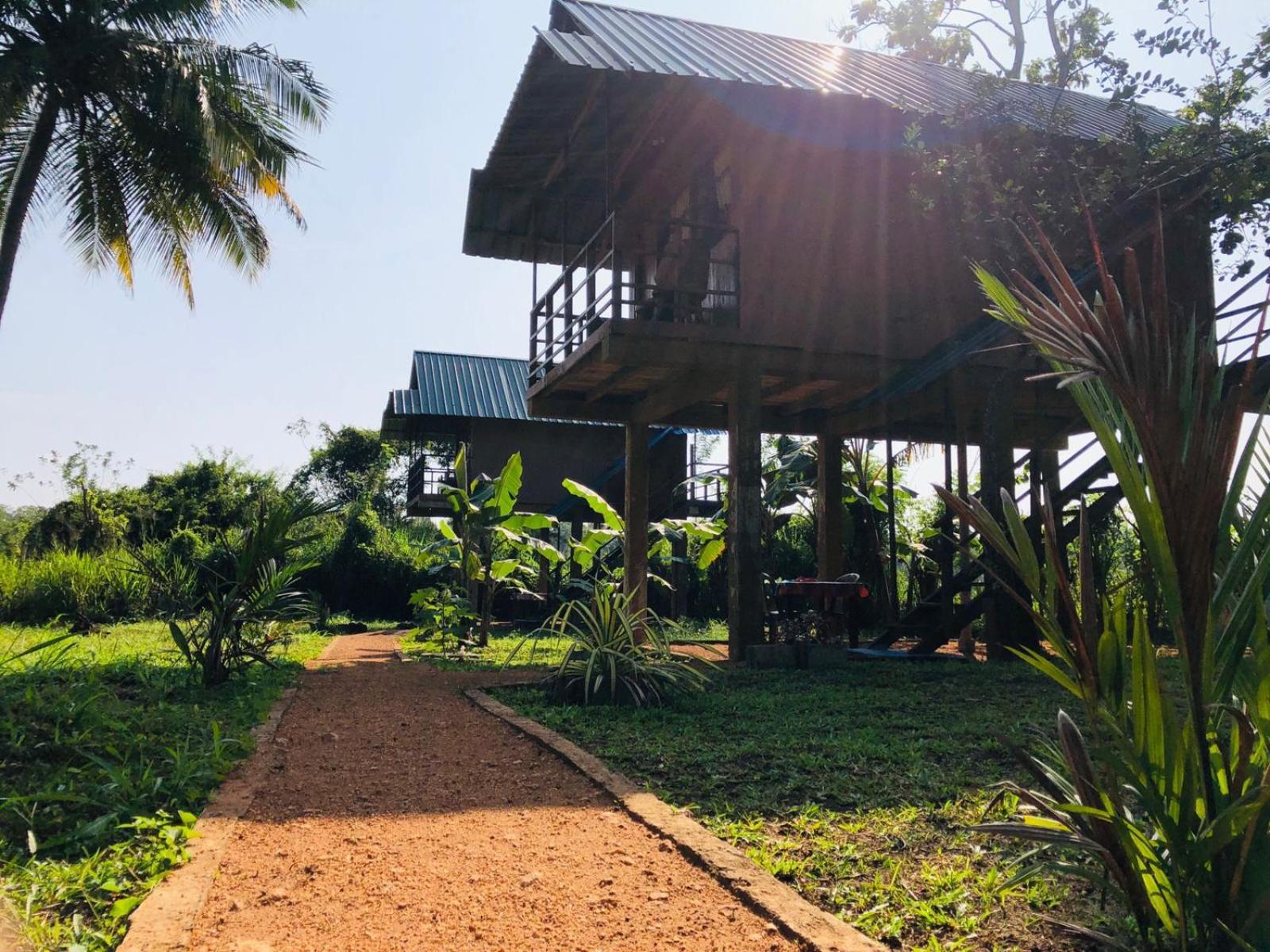 Vila Sigiriya Paddy Field Hut Pokoj fotografie